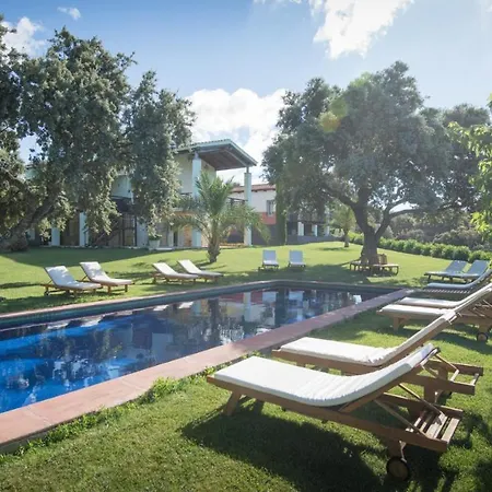 The Holiday home